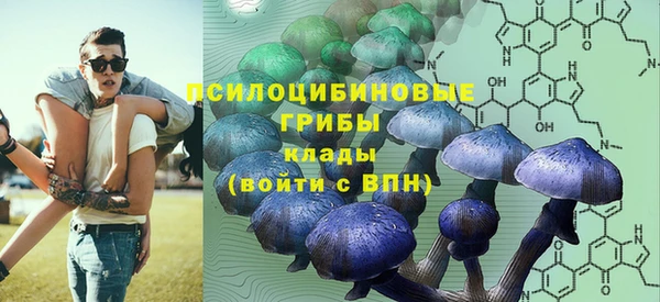 шишки Алзамай