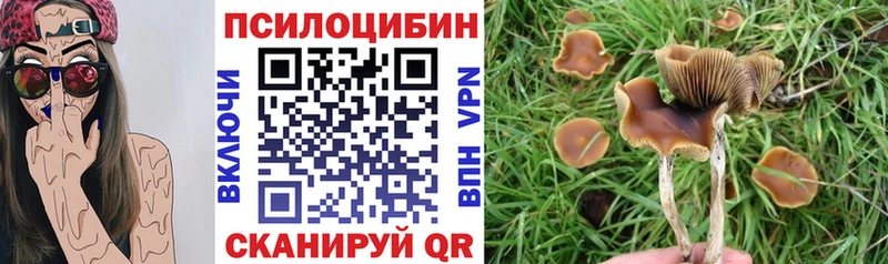 Псилоцибиновые грибы мицелий  MEGA онион  Жердевка 